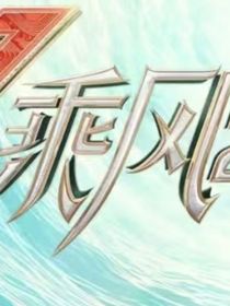 乘风绽放