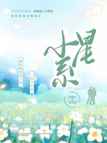 小星系