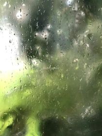 TF家族：听遗憾在悲歌