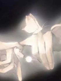 雙想……