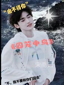 all轩：囚笼中鸟