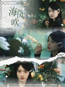 张泽禹：海风吹