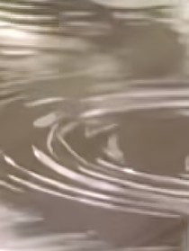 我们的再见