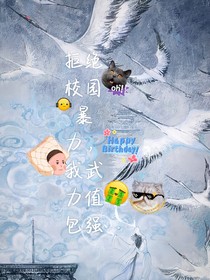 穿书：我武力值包强