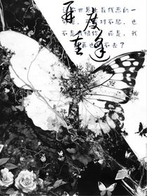 再渡重逢