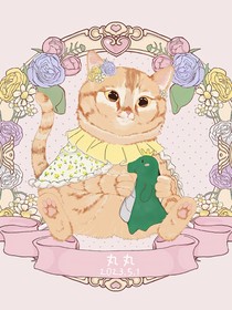 猫像一朵云
