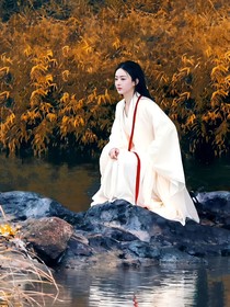綜影視：月下驚鴻