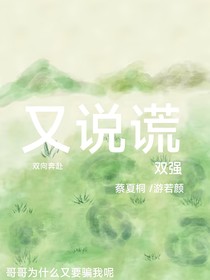 又说谎