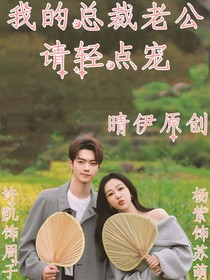 我的总裁老公请轻点宠