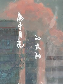 属于月亮的太阳