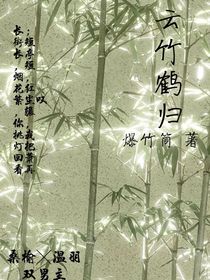 云竹鹤归