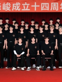 TF家族家族：惊喜回归