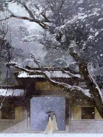 纱雪落江南