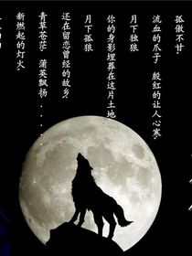 狼王梦：紫岚回归