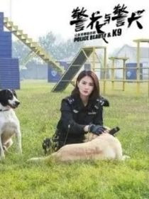 從開(kāi)始到現(xiàn)在你是我的全部