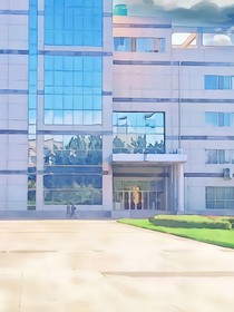光芒大学