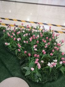 或许是执念