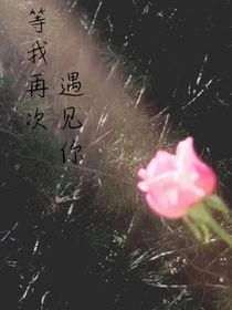 等我再次遇見(jiàn)你