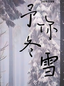 予你冬雪