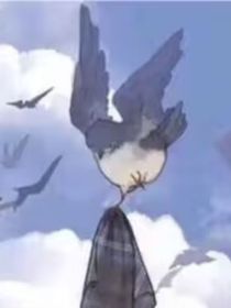 遇見過的她