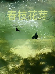 春枝花芽