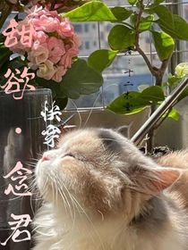 甜欲：悅君，念君
