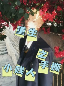 重生之手撕小贱人