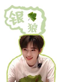 文轩：银狼