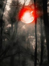 无限流：我在未来等你