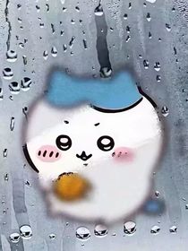 简短的一生