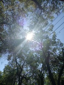 暗恋爽文