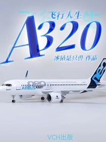 飞行人生：A320