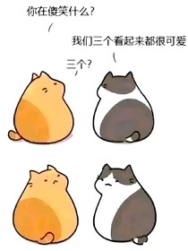 學(xué)習(xí)問題指南