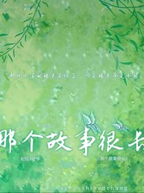 那个故事很长