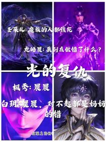 光的复仇（神印文）