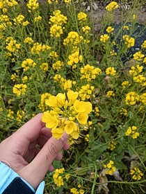 不同的我与特别的你