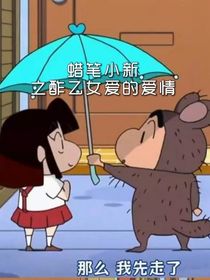 蜡笔小新之酢乙女爱的爱情