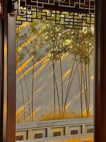 海棠花開時，淮安柳下穗