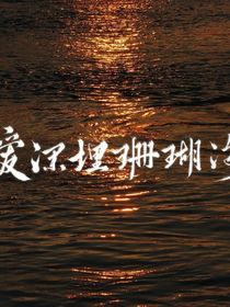 书名正在修改1723453863917657519