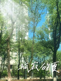孤寂的夏