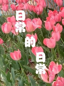 日常的日常