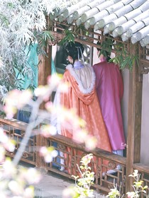 综影视：各个世界闯一闯