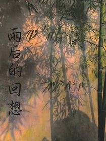 CH：雨后的回想