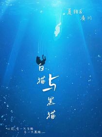 白猫与黑猫