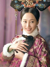 嬿婉重生