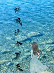 浅眠这个夏天