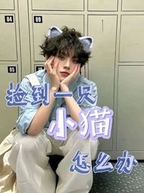 捡到一只小猫怎么办