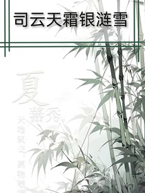 司云天霜银涟雪
