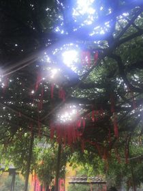 青春，亦苦亦甜