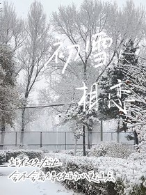 初雪相恋